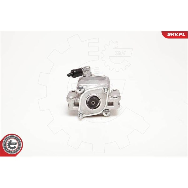 Servopump Esen skv 10SKV088 ESEN SKV