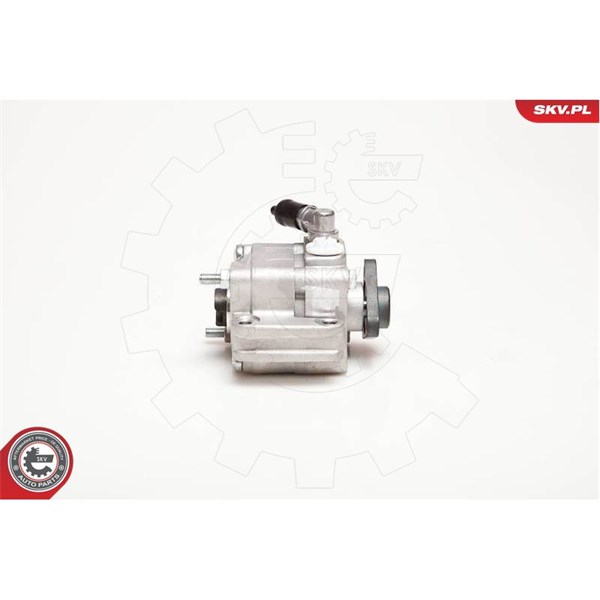 Servopump Esen skv 10SKV088 ESEN SKV
