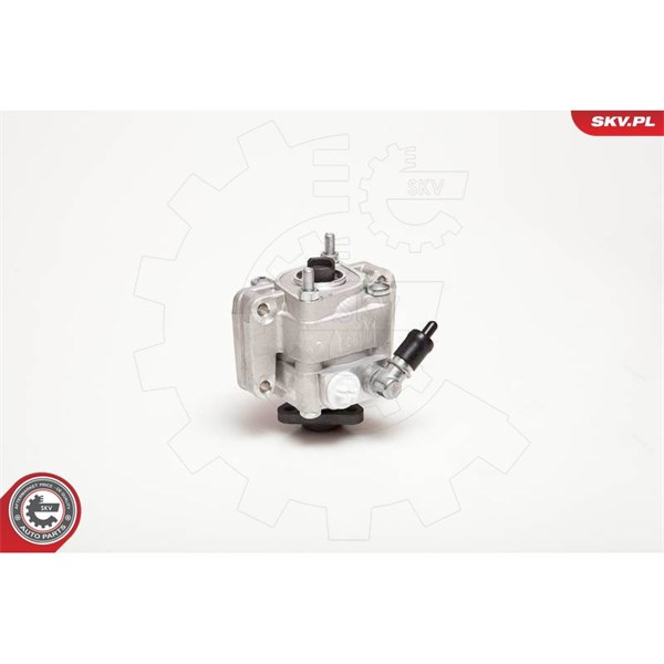 Servopump Esen skv 10SKV088 ESEN SKV