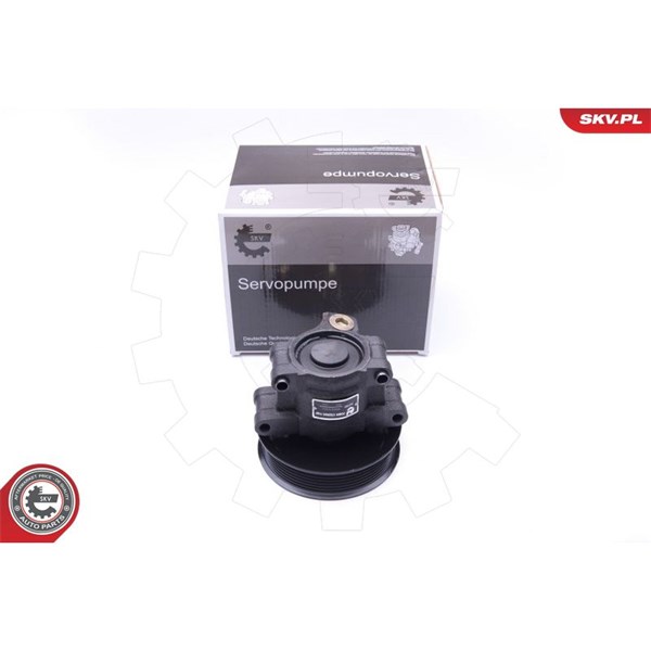 Servopump Esen skv 10SKV101 ESEN SKV