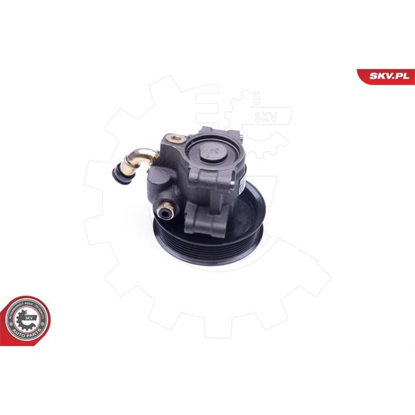 Servopump Esen skv 10SKV101 ESEN SKV