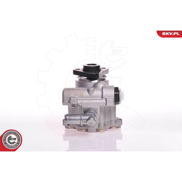 Servopump Esen skv 10SKV102 ESEN SKV