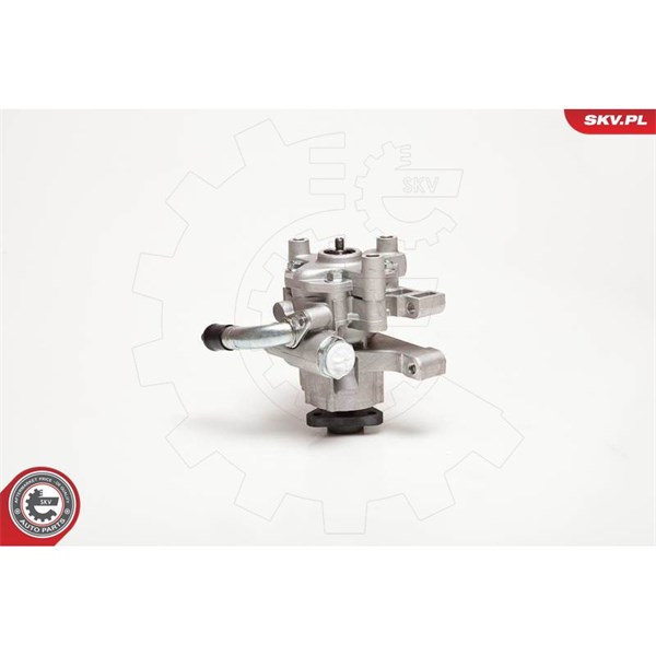 Servopump Esen skv 10SKV106 ESEN SKV