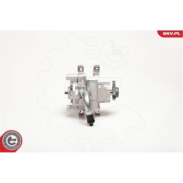 Servopump Esen skv 10SKV106 ESEN SKV