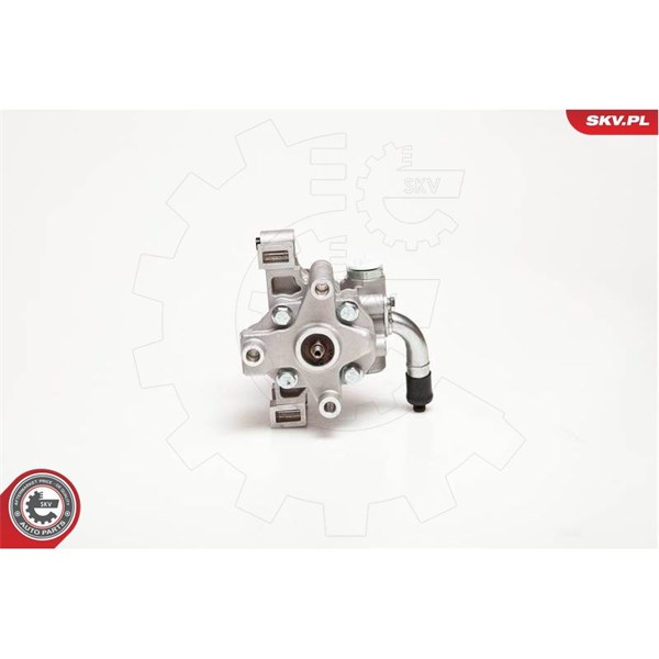 Servopump Esen skv 10SKV106 ESEN SKV