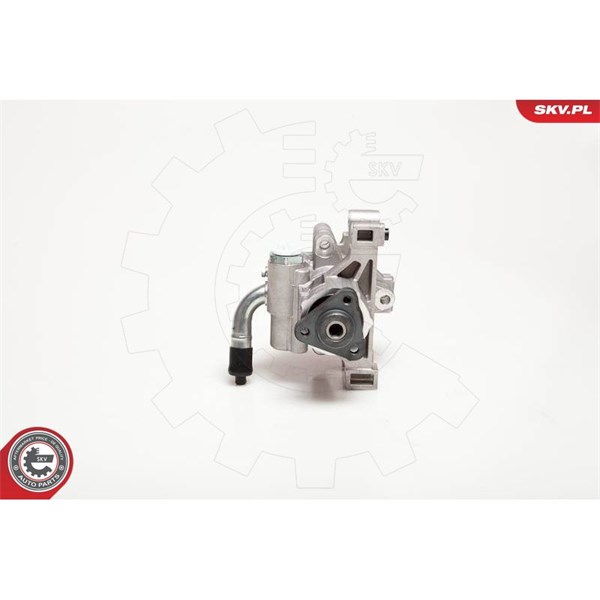 Servopump Esen skv 10SKV106 ESEN SKV
