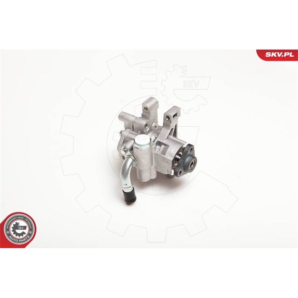 Servopump Esen skv 10SKV106 ESEN SKV