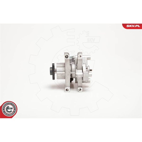 Servopump Esen skv 10SKV106 ESEN SKV