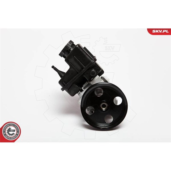 Servopump Esen skv 10SKV107 ESEN SKV