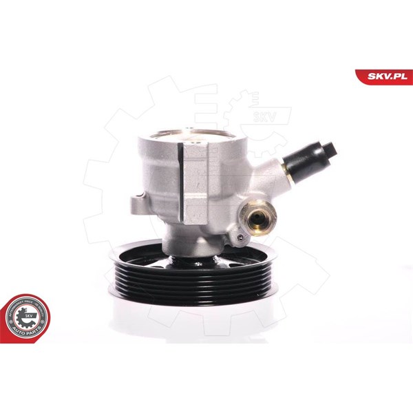 Servopump Esen skv 10SKV108 ESEN SKV