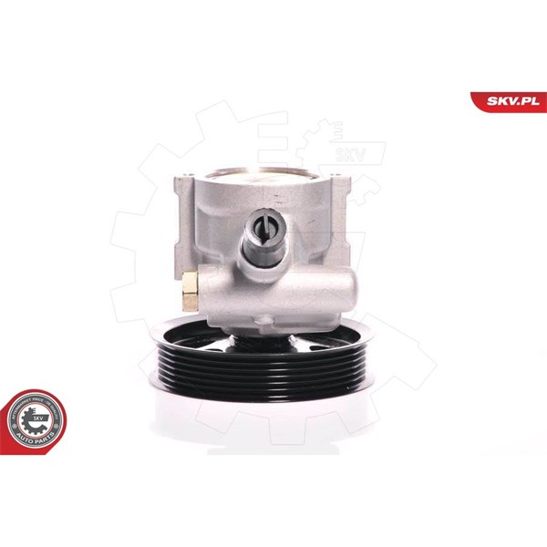 Servopump Esen skv 10SKV108 ESEN SKV