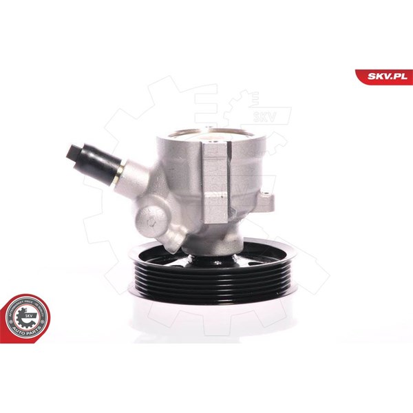 Servopump Esen skv 10SKV108 ESEN SKV