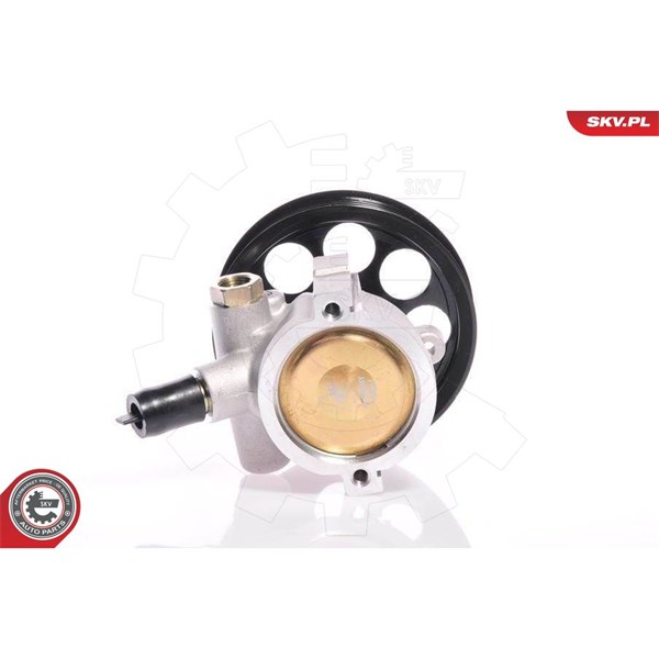 Servopump Esen skv 10SKV108 ESEN SKV