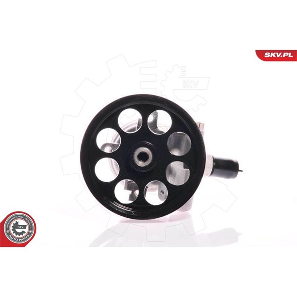 Servopump Esen skv 10SKV108 ESEN SKV