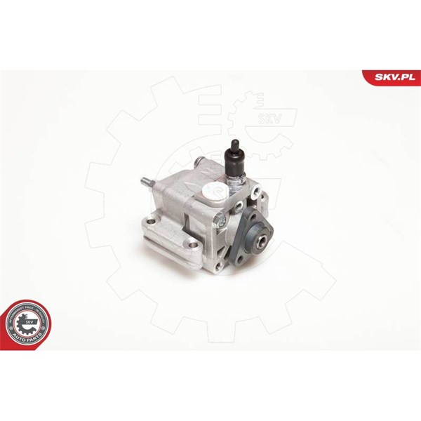 Servopump Esen skv 10SKV109 ESEN SKV