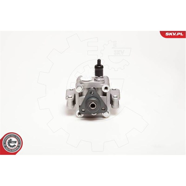 Servopump Esen skv 10SKV109 ESEN SKV