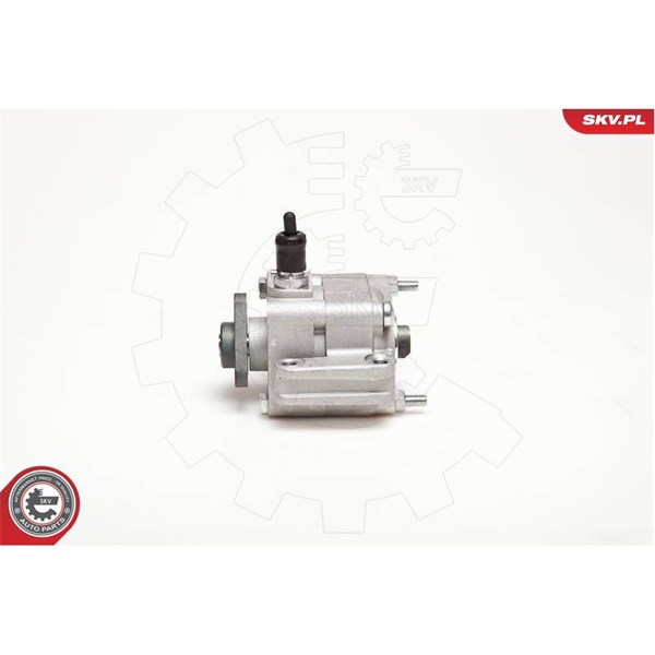 Servopump Esen skv 10SKV109 ESEN SKV
