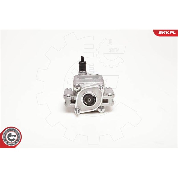 Servopump Esen skv 10SKV109 ESEN SKV