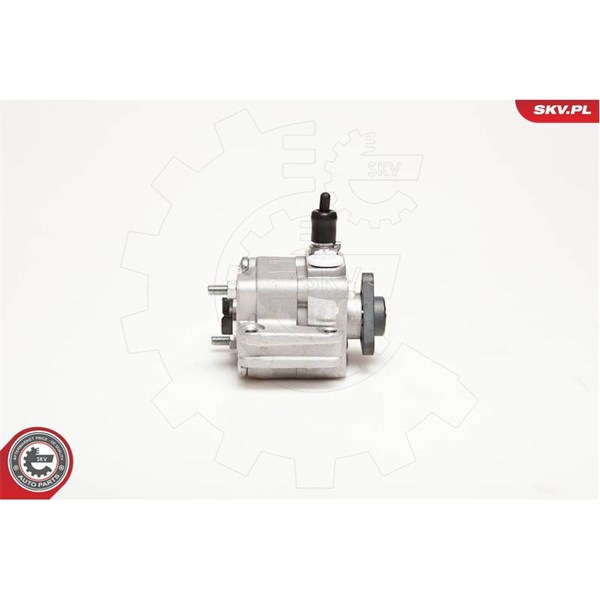 Servopump Esen skv 10SKV109 ESEN SKV
