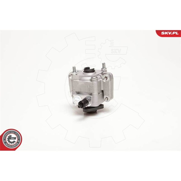 Servopump Esen skv 10SKV109 ESEN SKV