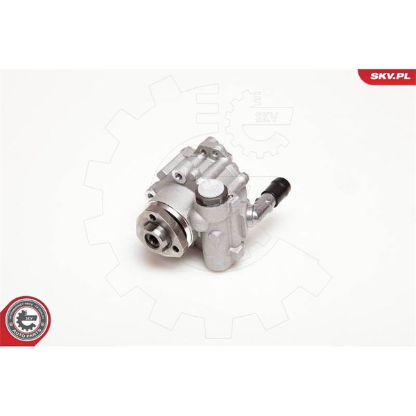 Servopump Esen skv 10SKV110 ESEN SKV