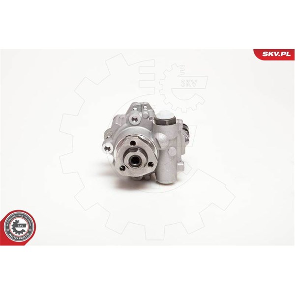 Servopump Esen skv 10SKV110 ESEN SKV