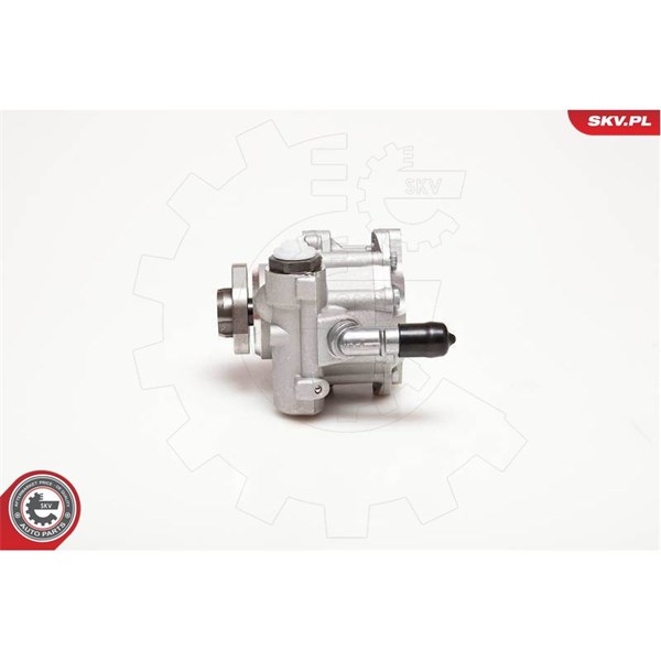 Servopump Esen skv 10SKV110 ESEN SKV