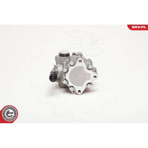Servopump Esen skv 10SKV110 ESEN SKV