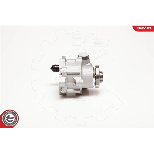 Servopump Esen skv 10SKV110 ESEN SKV