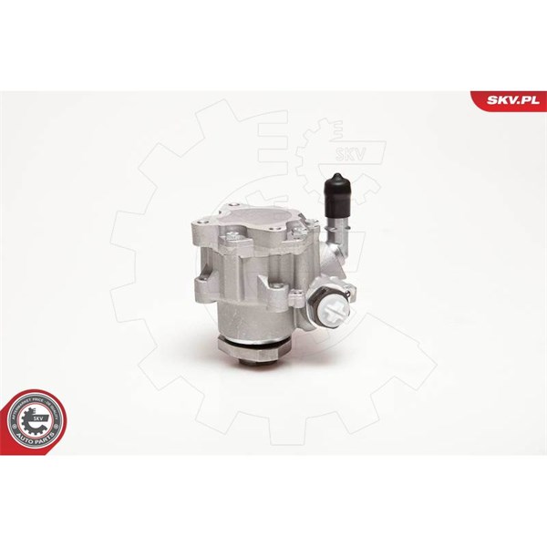 Servopump Esen skv 10SKV110 ESEN SKV