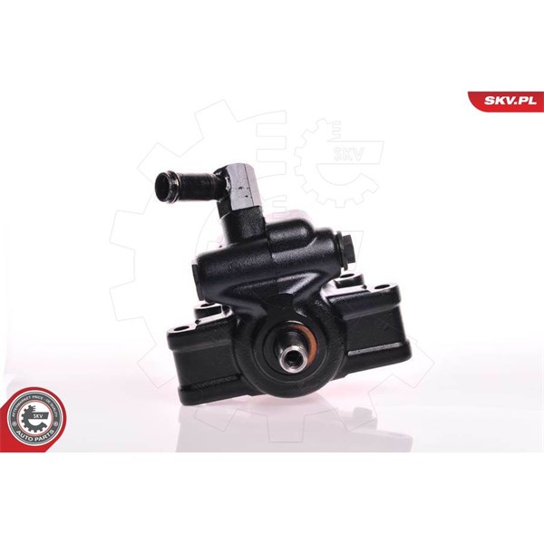 Servopump Esen skv 10SKV111 ESEN SKV