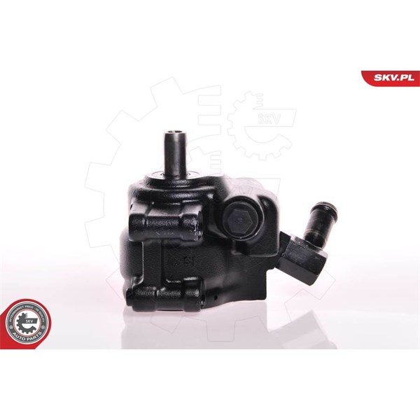 Servopump Esen skv 10SKV111 ESEN SKV