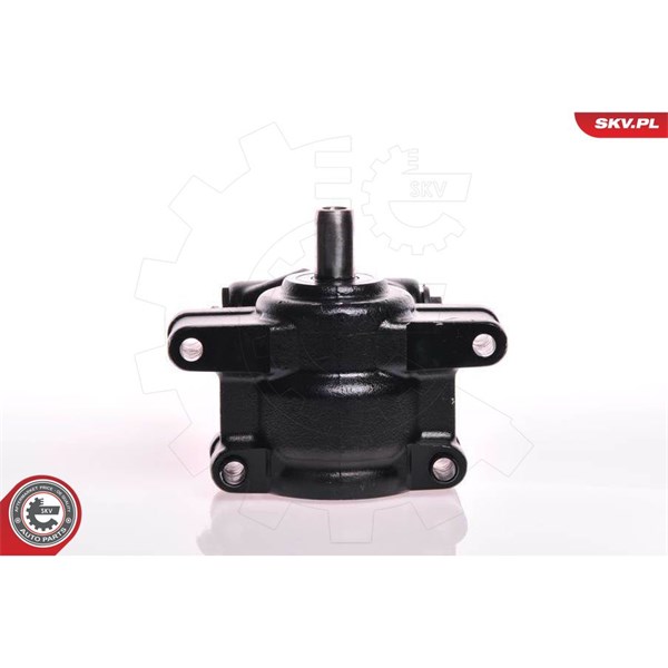 Servopump Esen skv 10SKV111 ESEN SKV
