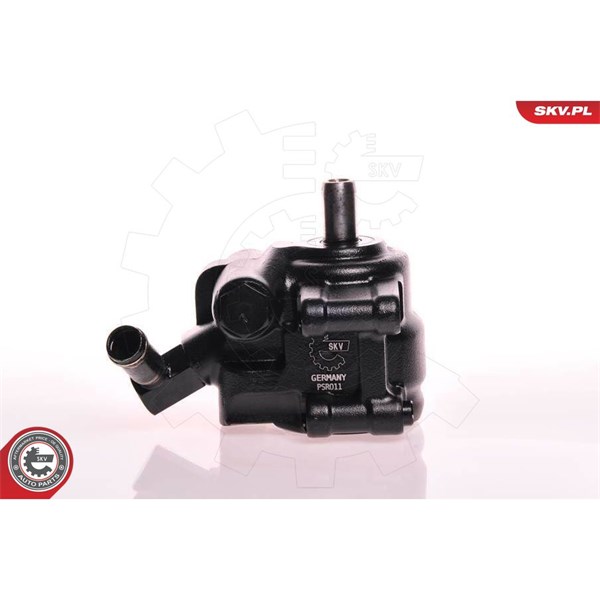 Servopump Esen skv 10SKV111 ESEN SKV