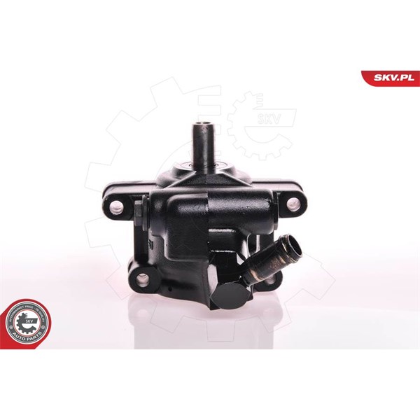 Servopump Esen skv 10SKV111 ESEN SKV