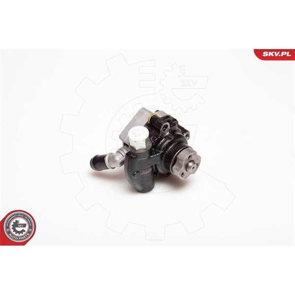 Servopump Esen skv 10SKV116 ESEN SKV