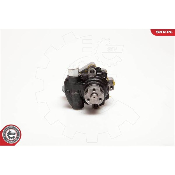 Servopump Esen skv 10SKV116 ESEN SKV