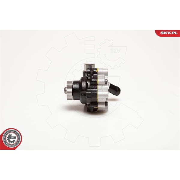 Servopump Esen skv 10SKV116 ESEN SKV