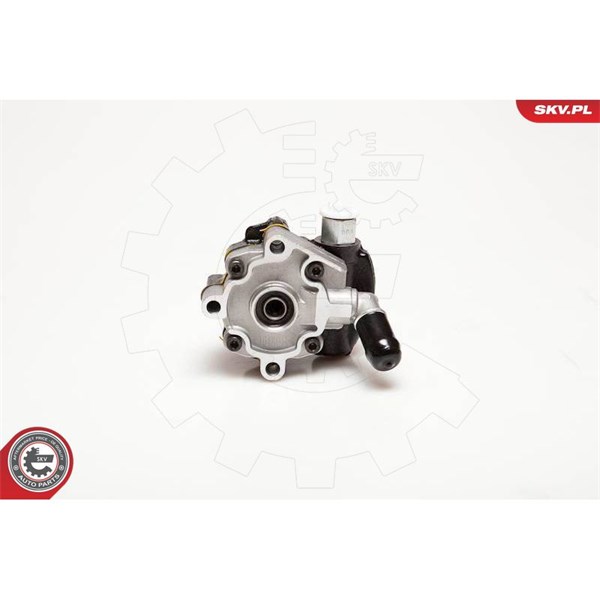 Servopump Esen skv 10SKV116 ESEN SKV