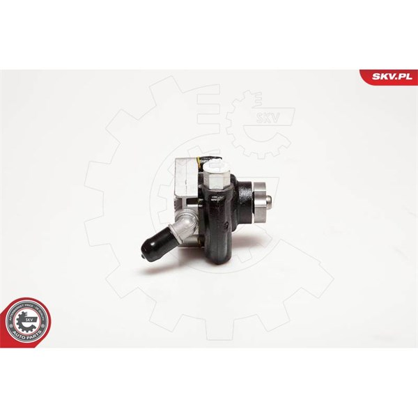 Servopump Esen skv 10SKV116 ESEN SKV