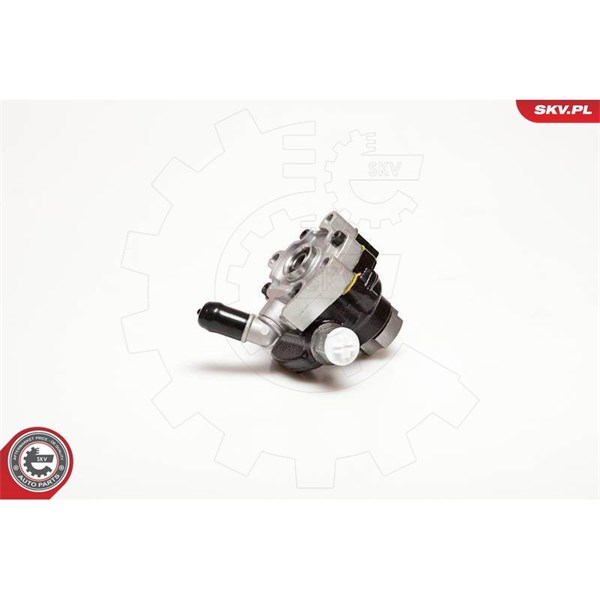 Servopump Esen skv 10SKV116 ESEN SKV