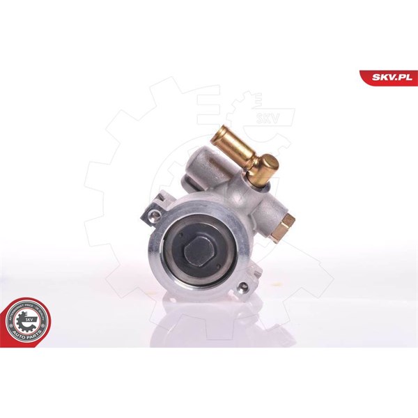 Servopump Esen skv 10SKV120 ESEN SKV