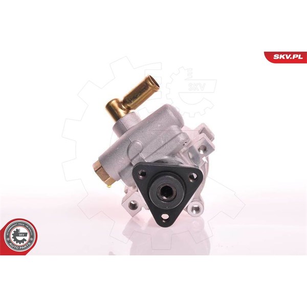 Servopump Esen skv 10SKV120 ESEN SKV Servopump Esen skv 10SKV120 ESEN SKV