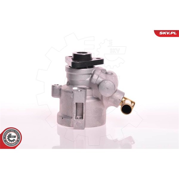 Servopump Esen skv 10SKV120 ESEN SKV Servopump Esen skv 10SKV120 ESEN SKV