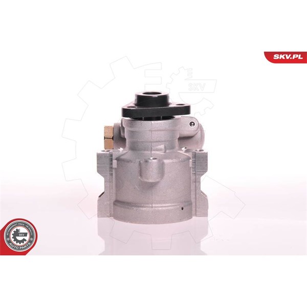 Servopump Esen skv 10SKV120 ESEN SKV Servopump Esen skv 10SKV120 ESEN SKV