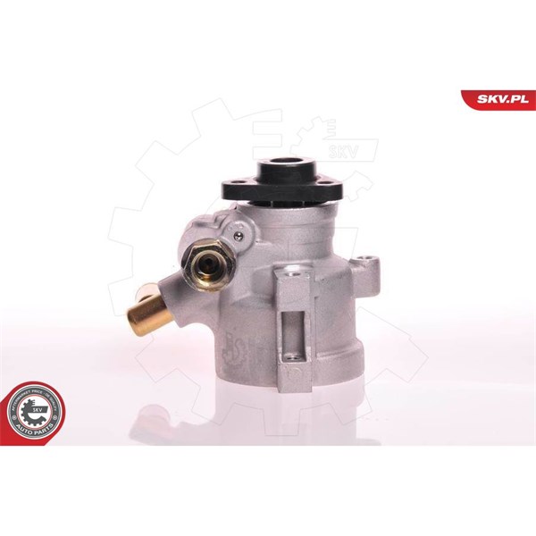 Servopump Esen skv 10SKV120 ESEN SKV Servopump Esen skv 10SKV120 ESEN SKV