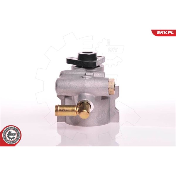 Servopump Esen skv 10SKV120 ESEN SKV Servopump Esen skv 10SKV120 ESEN SKV