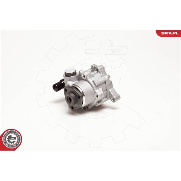 Servopump Esen skv 10SKV124 ESEN SKV