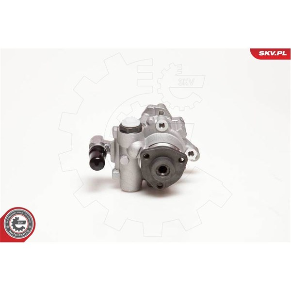 Servopump Esen skv 10SKV124 ESEN SKV