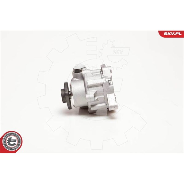 Servopump Esen skv 10SKV124 ESEN SKV